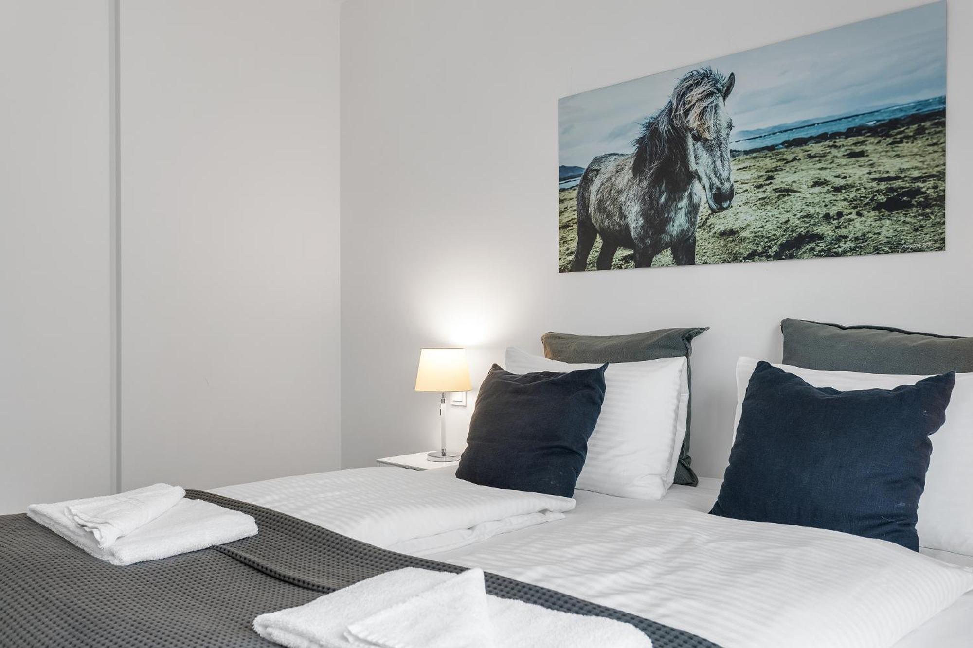 Sif Apartments By Heimaleiga ريكيافيك المظهر الخارجي الصورة